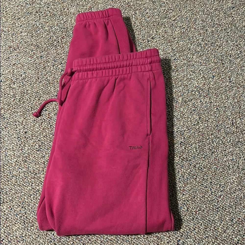 TNA Aritzia Sweatpants